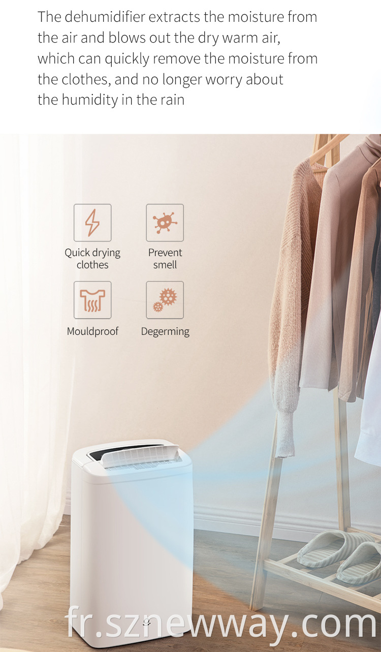 Zhibai Dehumidifier